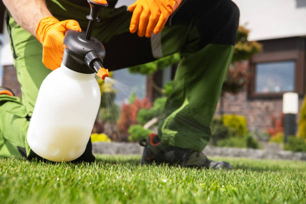 Best Pest Removal Services  in Tennessee Ridge, TN