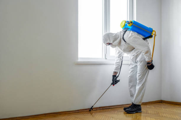 Best Mosquito Control Services  in Tennessee Ridge, TN