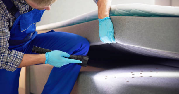 Best Wasp Removal Services  in Tennessee Ridge, TN