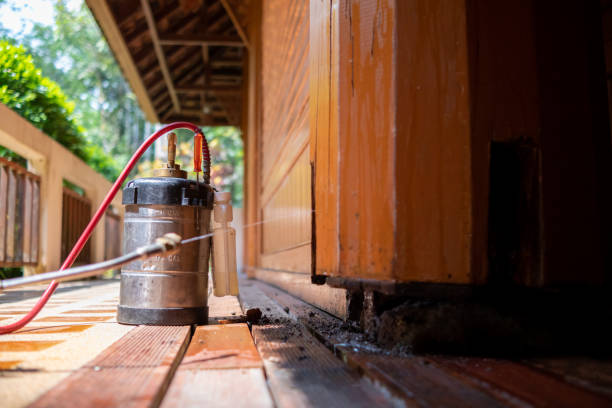 Best Cockroach Control Services  in Tennessee Ridge, TN